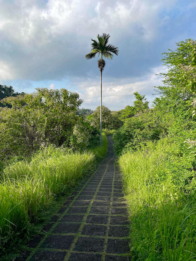 Tranquil Trails at Campuhan Ridge Walk