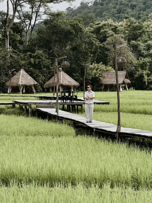 Tree House Café - ບ້ານກາເຟ ຕົ້ນໄມ້ | LUANG PRABANG 