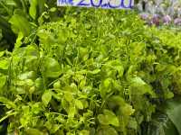 ตลาดดอยมูเซอใหม่