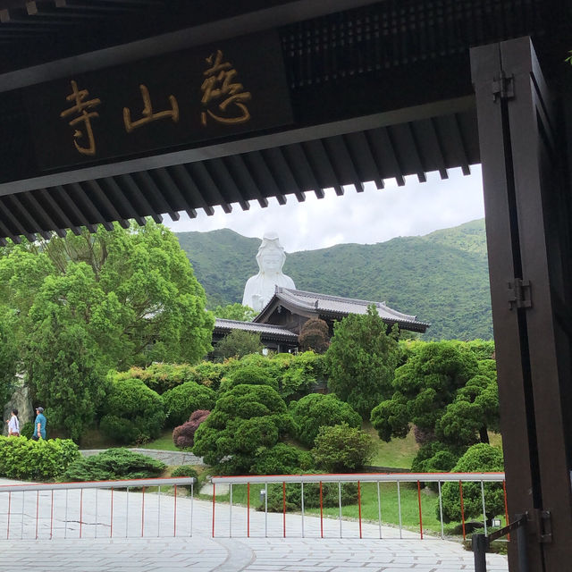 🇭🇰Tsz Shan Monastery & Wong Tai Sin temple🇭🇰