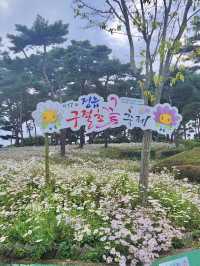 옛날부터 유명했던 정읍 구철초 축제 지방정원😁