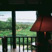 โอลดี้ส์-ป่าหินงาม