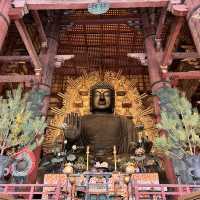 Todaiji Temple • เมืองนารา 🇯🇵 ญี่ปุ่น
