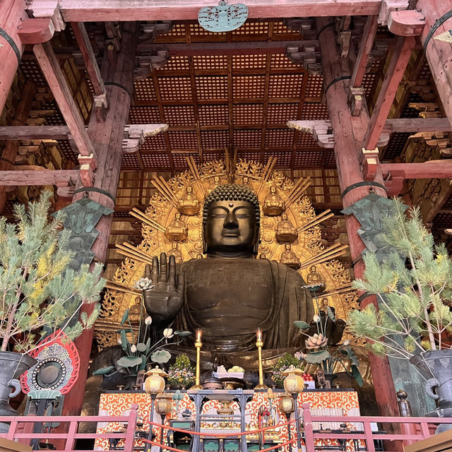 Todaiji Temple • เมืองนารา 🇯🇵 ญี่ปุ่น