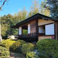 【岡山】後楽園