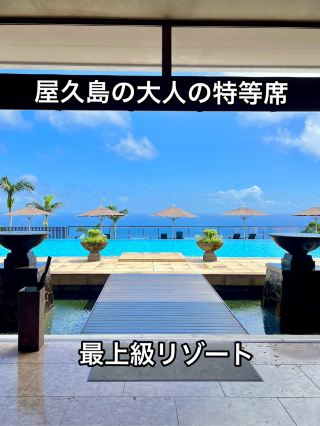 Yakushima❤︎ A resort hotel where you can enjoy spectacular views and delicious food🩷A dream destination❤︎