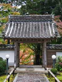 【ここ行って】紅葉の道が美しい✨奈良時代開創の無料で楽しめる紅葉スポット🍁