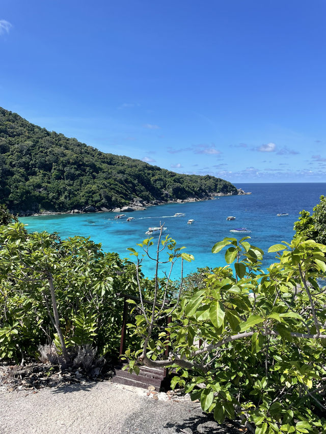 1 Day Trip หมู่เกาะสิมิลัน ทะเลสวยอันดามัน