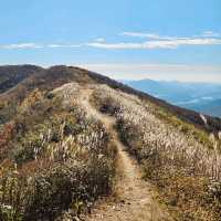 Scenic and Refreshing Hike on Oseosan