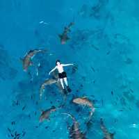 🇲🇻 Maldives 4 Days 3 Nights งบไม่เกิน 25,000 บาท