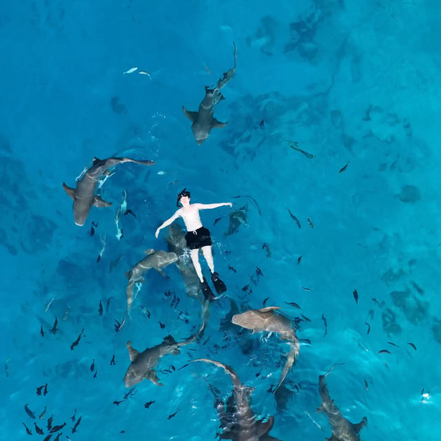 🇲🇻 Maldives 4 Days 3 Nights งบไม่เกิน 25,000 บาท