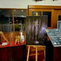 泰國曼谷朱拉隆功大学自然历史博物館，親子博物館遊覽好去處