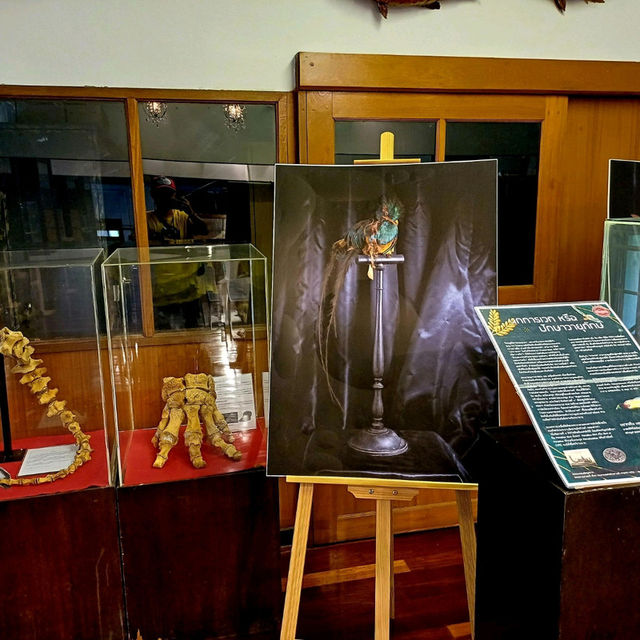 泰國曼谷朱拉隆功大学自然历史博物館，親子博物館遊覽好去處