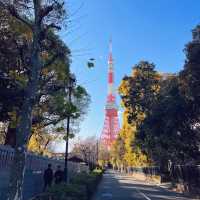 景點推薦：增上寺與東京塔，傳統與現代的完美結合