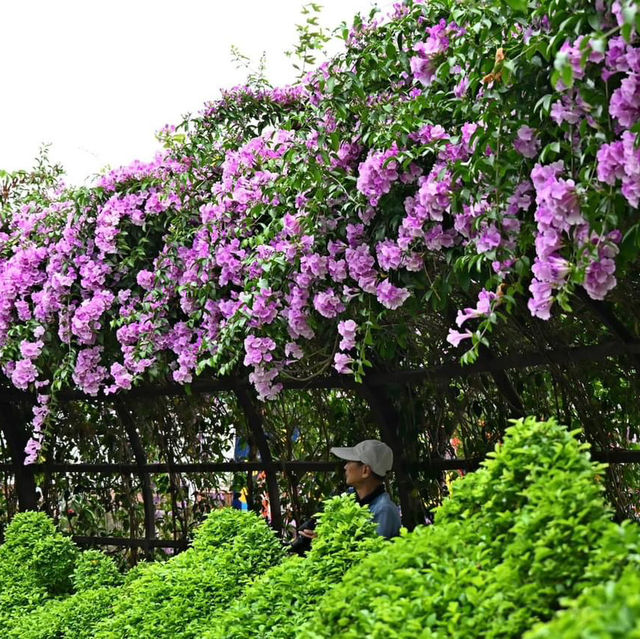 楓樹河濱公園