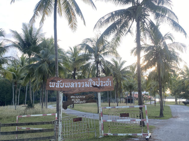 จุดชมวิวบางสาย (พลับพลารวมใจประชา) อ.ไม้แก่น