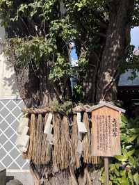 人氣景點 歷史悠久的櫛田神社⛩️
