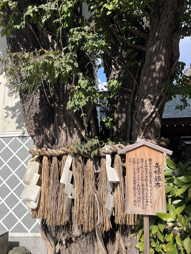 人氣景點 歷史悠久的櫛田神社⛩️