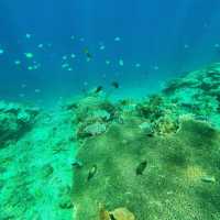 Dive into the Wonders of Gili Air