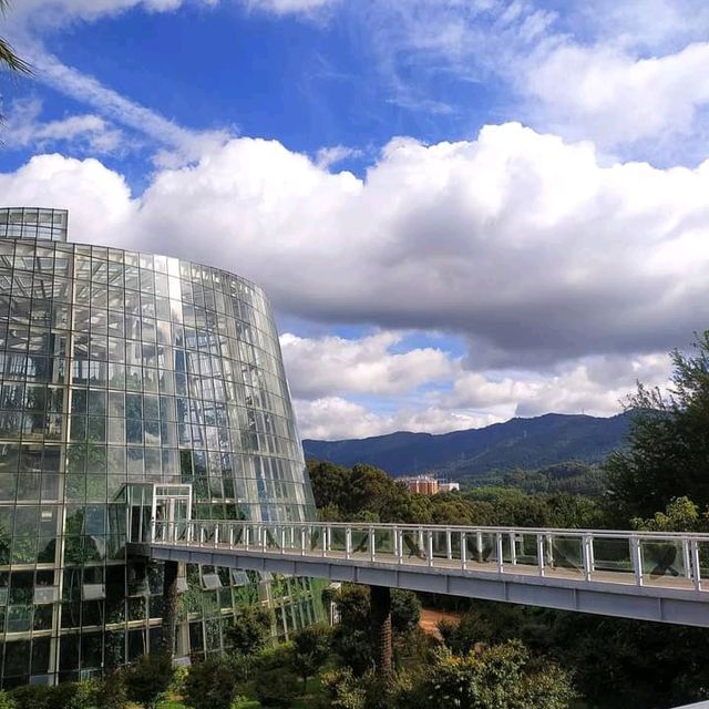 Fall season in Kunming 