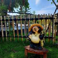 คาเฟ่ญี่ปุ่นในไร่ชา เปิดใหม่ - PASSA Cafe'