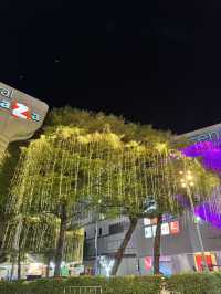 ชมต้นคริสต์มาสสวยๆ ห้างเซ็นทรัลอุดรธานี 