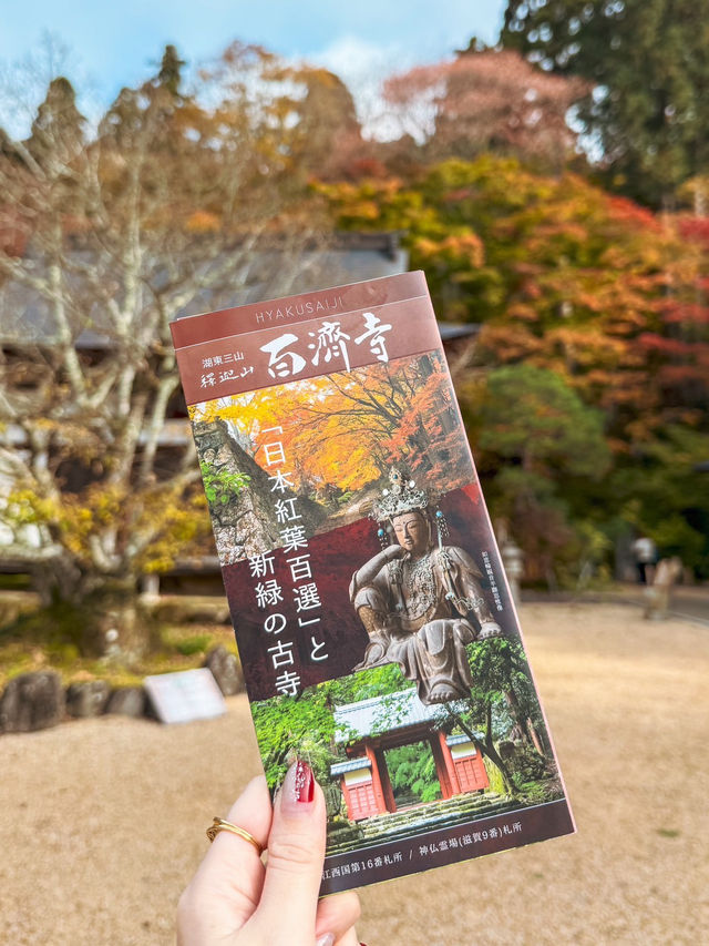 【滋賀】湖東三山最古のお寺で絶景紅葉