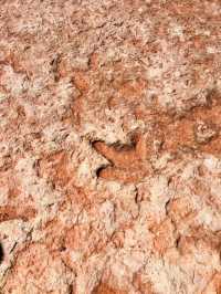 A Solo Adventure to the Dinosaur Tracks of the Grand Canyon