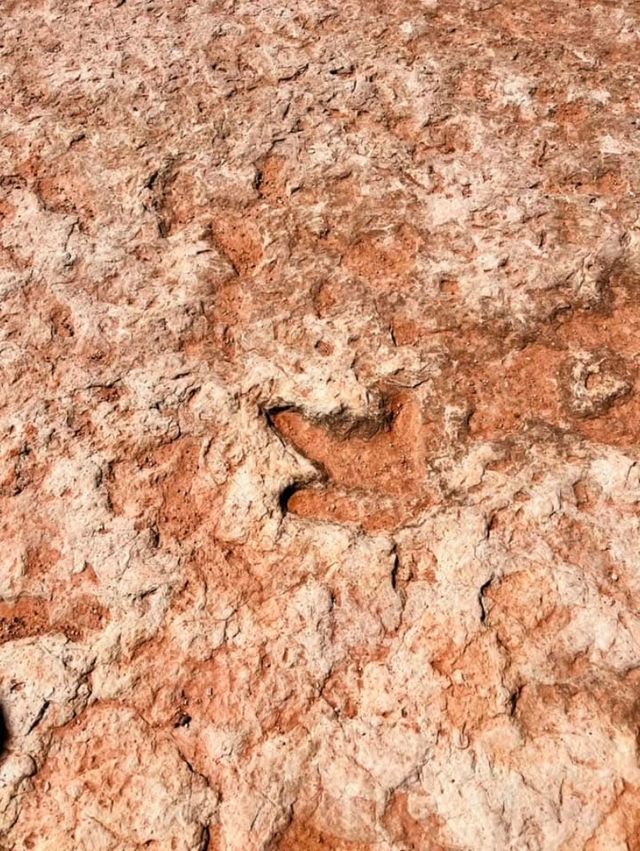 A Solo Adventure to the Dinosaur Tracks of the Grand Canyon