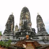 "วัดมหาธาตุวรวิหาร" 