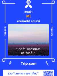 Otama Sunrice Cafe