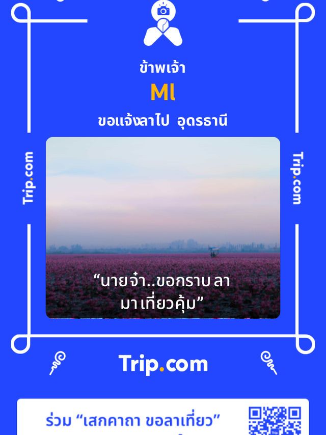 Otama Sunrice Cafe
