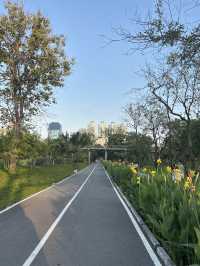 พิกัดสถานที่ถ่ายรูปสวย สวนเบญจิกิติ 🌳