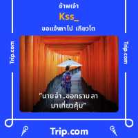 สวนหลวง ร.9: โอเอซิสใจกลางเมือง🍃🌸