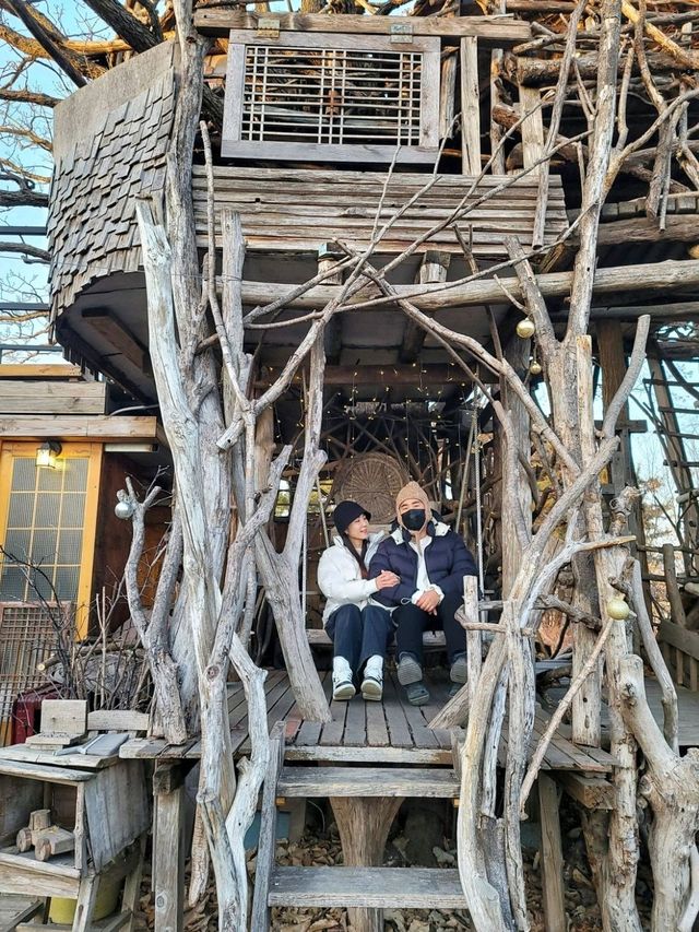 동화속 트리하우스가 있는 독특한 김제여행지🤎