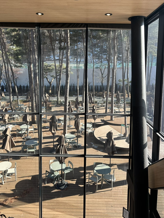 용인 고기리 산장 컨셉 ☕️ 광합성하기 좋은 통창유리의 대형 카페투어 추천 ❤️