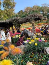 ชมดอกไม้สวนแม่ฟ้าหลวง 🌷🌼🌹🌾ธรรมชาติที่งดงาม