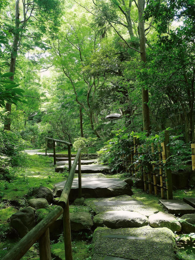 景點推薦：根津美術館——靜謐庭園與東方藝術的交融