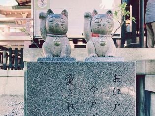 #東京🇯🇵今戶神社#