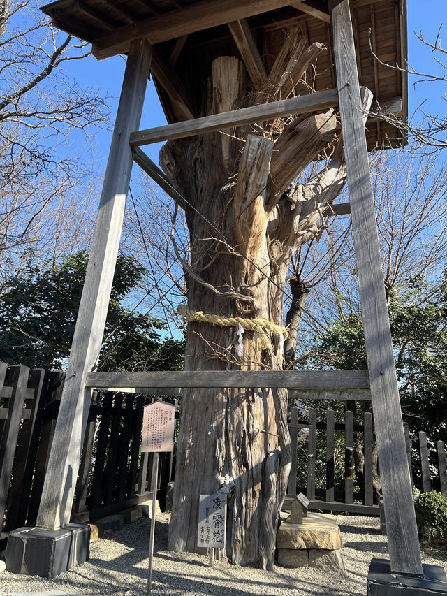 ［日本北陸旅行］犬山城-日本最古老的木造天守閣🏯