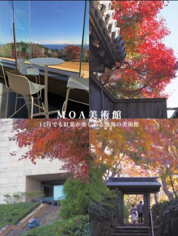 12月也能欣賞紅葉的熱海美術館