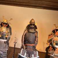 Edo wonderland 