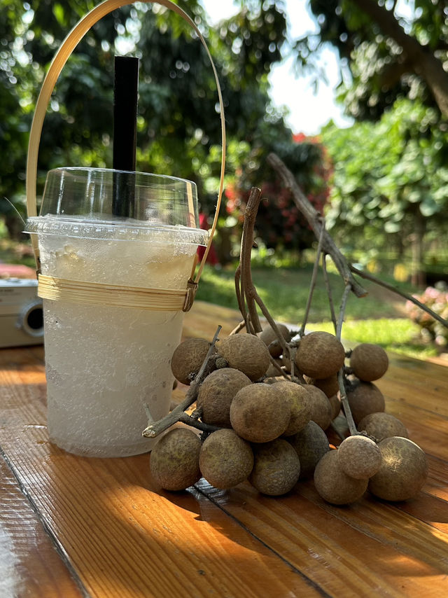 Remember to Wear Sunscreen and Comfy Clothing in Kanchanaburi as You’ll Always be Outdoors!