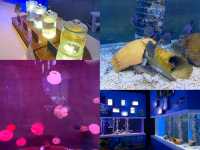 Bangsaen Aquarium: ดินแดนใต้ท้องทะเล 🐠