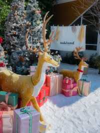 พิกัดคาเฟ่ธีมคริสต์มาส Oakland Cafe x Restaurant 🎄