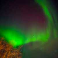 แสงเหนือที่เมือง Kirkenes ประเทศนอร์เวย์ สวัสด