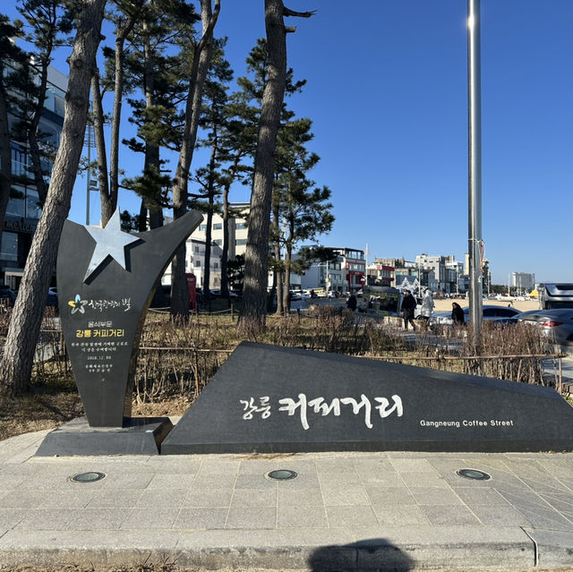 겨울 낭만을 느끼고 싶다면?! 강릉 바다여행 추천