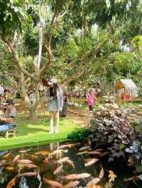 Meple Gardens กาญจนบุรี ที่ไม่ได้มีแค่สวนดอกไม้!