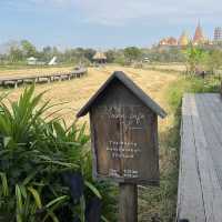 Kanchanaburi for young? 