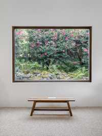 동화같은 빨간 동백꽃 풍경을 볼 수 있는 이곳“동백포레스트”